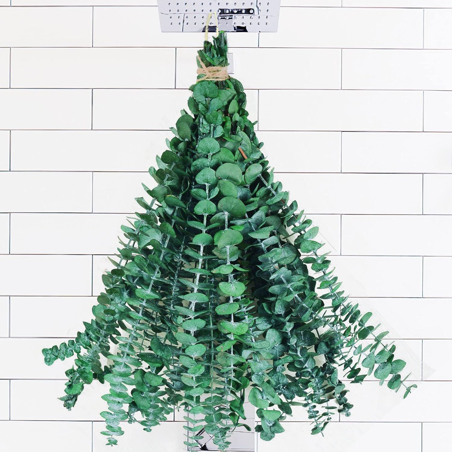  dried eucalyptus stems for hanging in shower