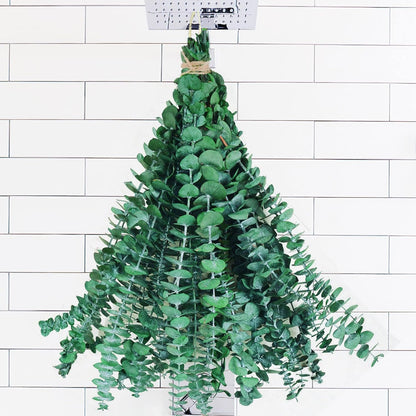  dried eucalyptus stems for hanging in shower