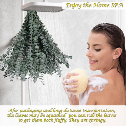 Spa-like shower with hanging eucalyptus