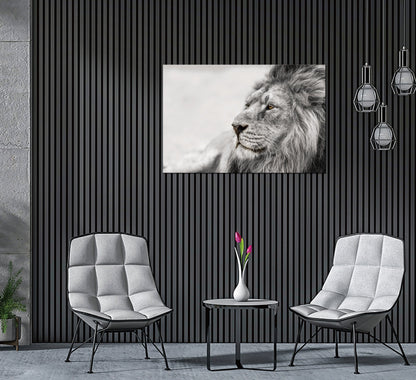 Observing Lion Acrylic Print Unframed Wall Art