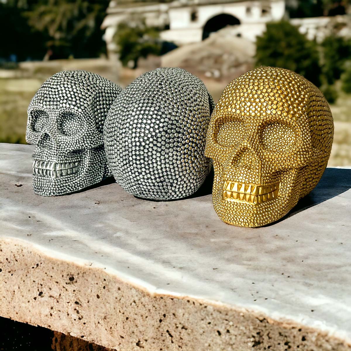 Skull Me Silver