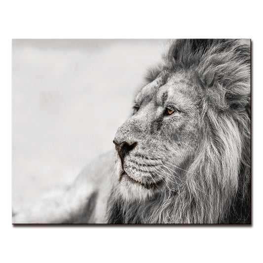 Observing Lion Acrylic Print Unframed Wall Art